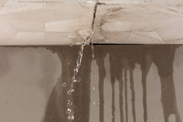 Professional Structural Drying technician working in Plum City, WI